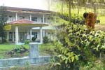 Regular Afternoon Program UHAMZAH Medan Nomor 9